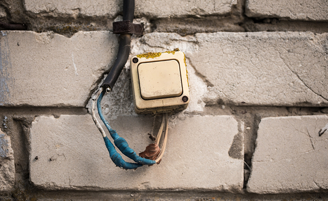 정화나무 주요 프로그램 소개 이미지