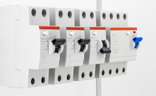 정화나무 주요 프로그램 소개 이미지