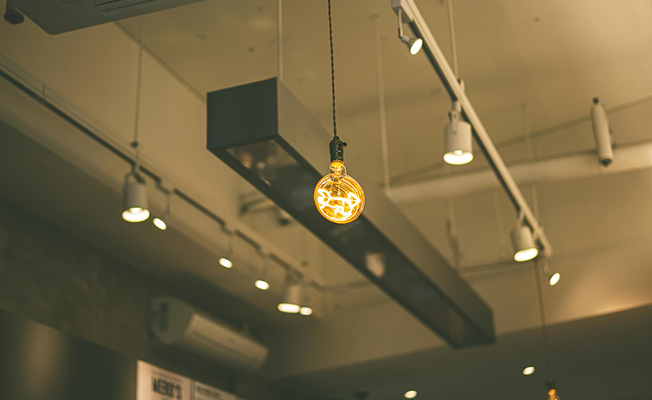 정화나무 주요 프로그램 소개 이미지