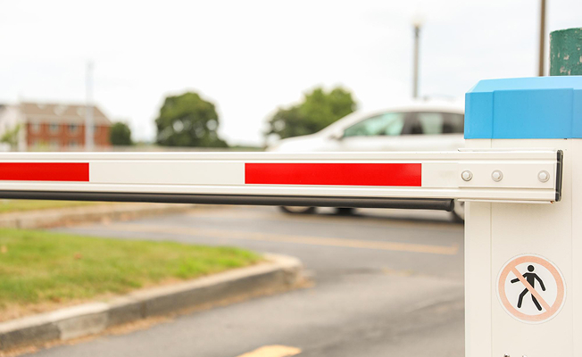 정화나무 주요 프로그램 소개 이미지